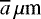 $\overline{a}\,\mu {\textrm{m}}$