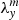 $ \lambda_{\it y}^m $