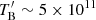 $ T^\prime_{\mathrm{B}}\sim5\times10^{11}\, $