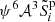 $ \psi^{6} \mathcal{A}^3 \tilde{S}^{\mathrm{p}} _i $