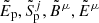 $ \tilde{E}_{\mathrm{p}} , {\tilde{S}^j}_{\mathrm{p}}, \tilde{B}^\mu, \tilde{E}^\mu $