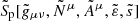 $ \tilde{S}_{\mathrm{p}}[\tilde{g}_{\mu \nu},\tilde{N}^\mu,\tilde{A}^\mu,\tilde{\varepsilon},\tilde{s}] $