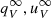 $ q_V^\infty,u_V^\infty $