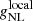 $ g_{\mathrm{NL}}^{\mathrm{local}} $