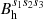 $ B_{\rm h}^{s_1 s_2 s_3} $