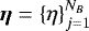 $\bm{\eta} = \{\eta\}_{j=1}^{N_B}$