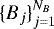 $\{B_j\}_{j=1} ^{N_B}$