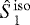 $\hat{S}_1^{\mathrm{iso}}$
