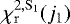 $\chi_{\mathrm{r}}^{2, \mathrm{S_1}}(j_1)$