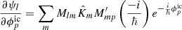 $$ \begin{aligned} \frac{\partial \psi _l}{\partial \phi ^\mathrm{ic}_p} = \sum _m M_{lm} \hat{K}_m M^{\prime }_{mp} \left(\frac{-i}{\hbar }\right) e^{-\frac{i}{\hbar }\phi _p^\mathrm{ic}} \end{aligned} $$