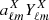 $ a^X_{\ell m}Y^X_{\ell m} $