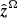 $ \hat{\boldsymbol{z}}^\Omega $