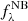 $ f^{\rm NB}_\lambda $