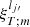$ \xi_{T;m}^{l_{j\prime}} $