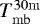 $T_{\mathrm{mb}}^{\mathrm{30m}}$