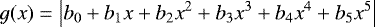 \begin{equation*} g(x) = \left| b_0 + b_1 x + b_2 x^2 + b_3 x^3 + b_4 x^4 + b_5 x^5 \right|\end{equation*}