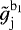 $\tilde{g}_{\mathrm{j}}^{\mathrm{b}_1}$