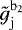 $\tilde{g}_{\mathrm{j}}^{\mathrm{b}_2}$