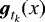 $\vec{g}_{t_k}(x)$
