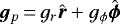 $\bm{g}_{p}\,{=}\,g_r \hat{\bm r} +g_{\phi} \hat{\bm\phi}$