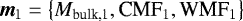 ${\bm m}_{1} = \left\lbrace M_{\textrm{bulk,1}}, {\textrm{CMF}_{1}, \textrm{WMF}_{1}} \right\rbrace $