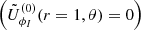$ \left(\tilde{U}_{\phi_I}^{(0)}(r=1, \theta)=0\right) $