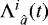 $\Lambda^i_{\ \hat a}(t)$