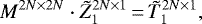 \begin{displaymath} M^{2N \times 2N} \cdot \tilde{Z}_1^{2N \times 1}\,{=}\,\tilde{T}_1^{2N \times 1}, \end{displaymath}