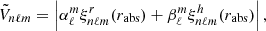 $$ \begin{aligned} \tilde{V}_{n\ell m}=\left|\alpha _\ell ^m\xi _{n\ell m}^r(r_{\rm abs})+\beta _\ell ^m \xi _{n\ell m}^h(r_{\rm abs}) \right| , \end{aligned} $$