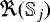 $\Re(\mathbb{S}_{j})$