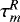 $\tau^R _m$