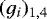 $(g_i)_{1,4}$