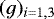 $(g)_{i=1,3}$