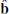 $ \mathbf{\hat{b}} $