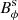 $ B_{\phi}^{\mathrm{s}} $