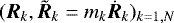 Mathematical equation: $(\bm{R}_k,\tilde{\bm{R}}_k = m_k \dot{\bm{R}}_k)_{k=1,N}$