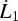 Mathematical equation: $\dot L_1$