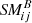 $ \mathit{SM}_{\!ij}^{B} $