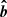 $ \boldsymbol{{\hat{b}}} $