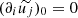 $ (\partial_i \widetilde{u_j})_0 = 0 $