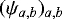 Mathematical equation: $(\psi_{a,b})_{a,b}$