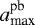 Mathematical equation: $a^{\textrm{pb}}_{\textrm{max}}$