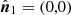 $ \hat{\boldsymbol{n}}_1=(0,0) $