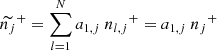 $$ \begin{aligned} \widetilde{n_j}^{+} = \sum _{l=1}^{N} a_{1,j}\ {n_{l,j}}^{+} = a_{1,j}\ {n_j}^{+} \end{aligned} $$