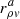 $ r_{\rho v}^a $