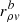 $ r_{\rho v}^b $