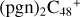 ${{{\left( {{\rm{pgn}}} \right)}_{\rm{2}}}{{\rm{C}}_{{\rm{48}}}}^{\rm{ + }}}$