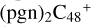 ${\left( {{\rm{pgn}}} \right)_{\rm{2}}}{{\rm{C}}_{48}}^ + $