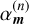 $\alpha _{\bf{m}}^{\left( n \right)}$