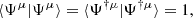 $$ \begin{aligned} \langle {\Psi ^\mu | \Psi ^\mu }\rangle = \langle {\Psi ^{\dagger \mu } | \Psi ^{\dagger \mu }}\rangle = 1, \end{aligned} $$